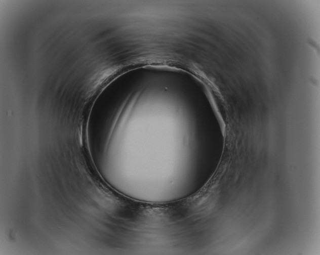 X0000091310062200708241123