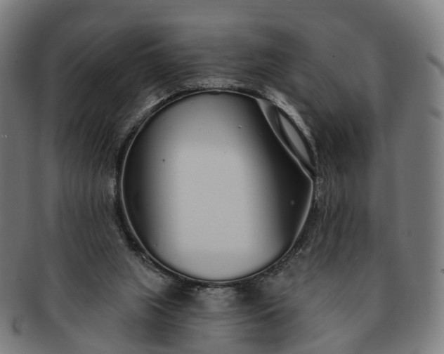 X0000091310063200708241123