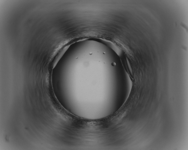 X0000091310064200708241123