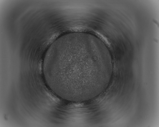 X0000091310065200708241123