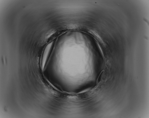 X0000091310066200708241123