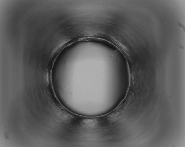 X0000091310067200708241123