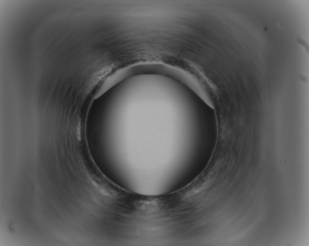 X0000091310068200708241123