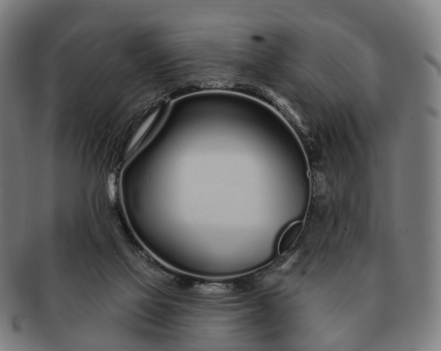 X0000091310069200708241123