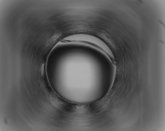 X0000091310070200708241123