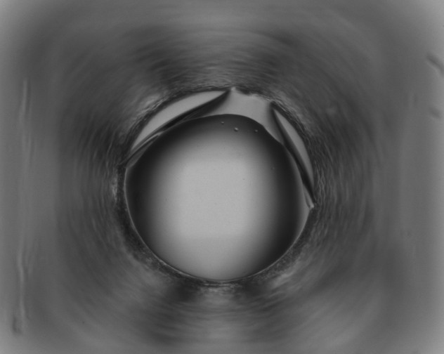 X0000091310072200708241123