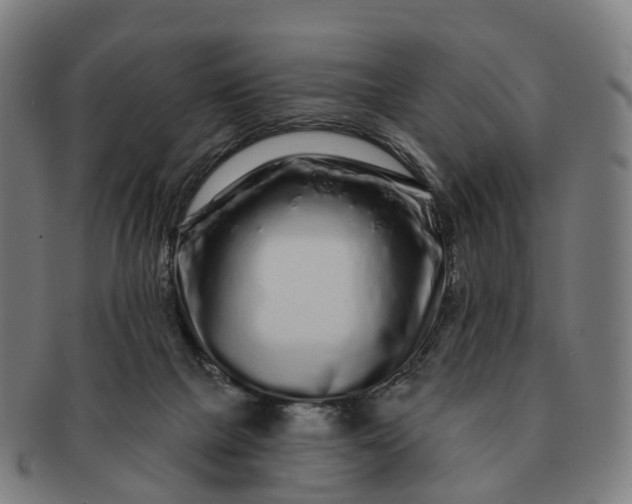 X0000091310073200708241123