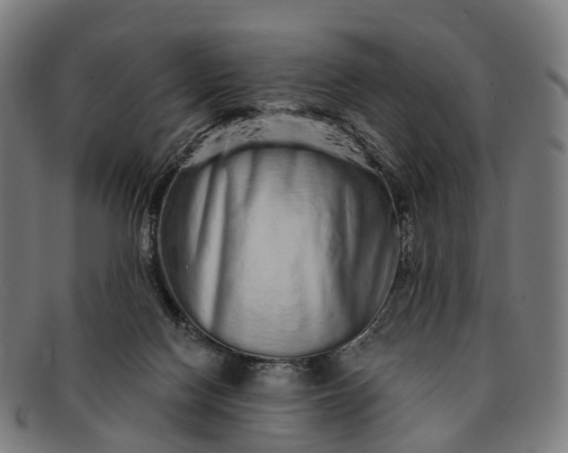 X0000091310074200708241123