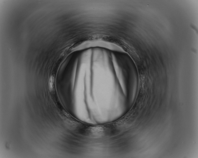 X0000091310075200708241123