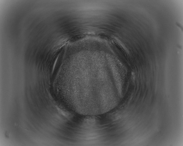 X0000091310076200708241123