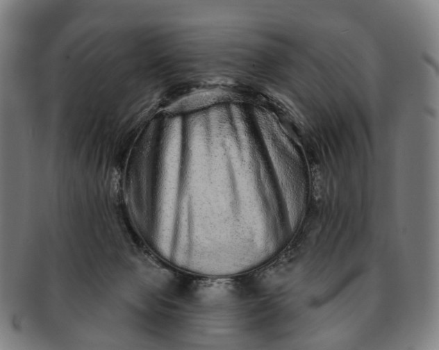 X0000091310077200708241123