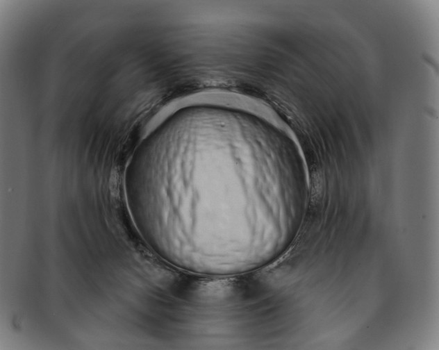 X0000091310078200708241123