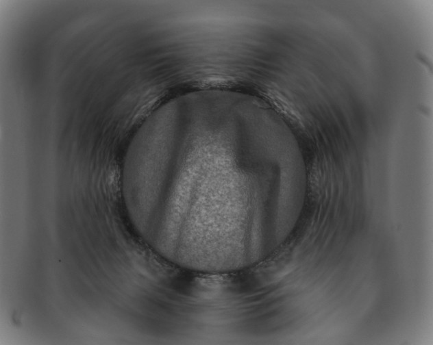 X0000091310079200708241123