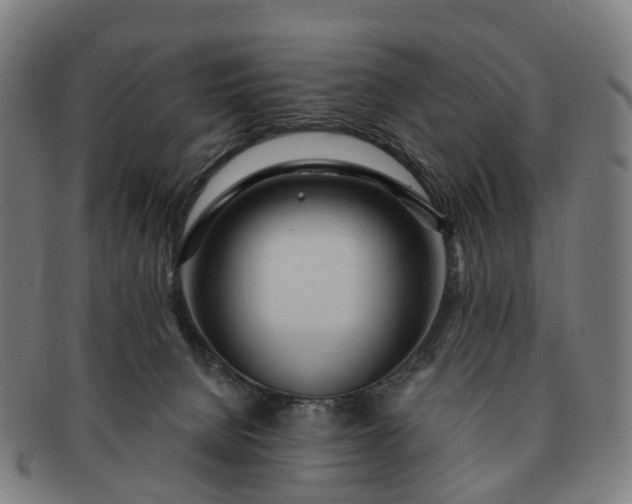 X0000091310080200708241123