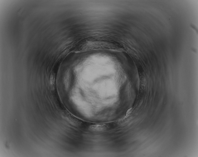 X0000091310082200708241123