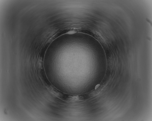 X0000091310083200708241123