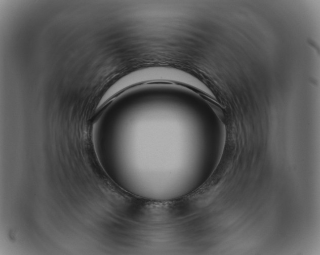 X0000091310084200708241123