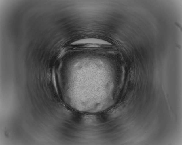 X0000091310085200708241123