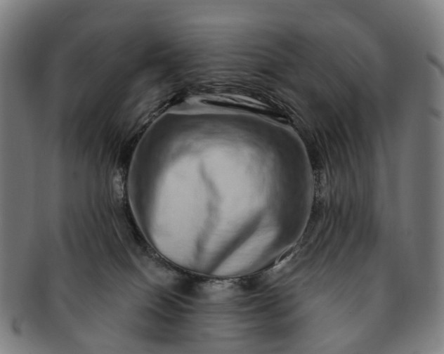 X0000091310086200708241123