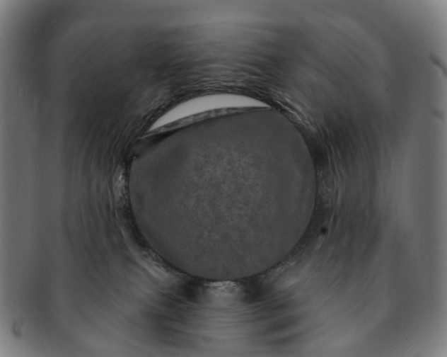 X0000091310087200708241123