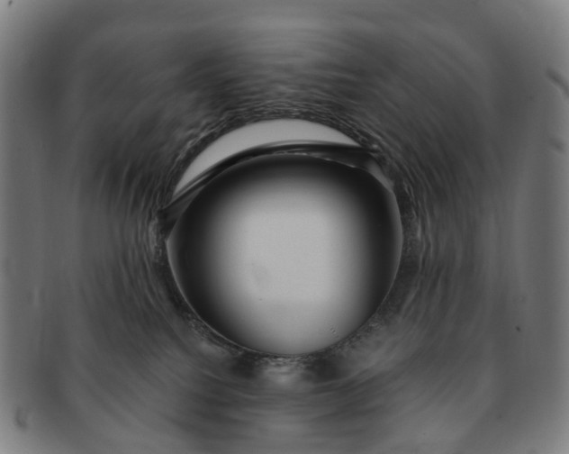 X0000091310088200708241123