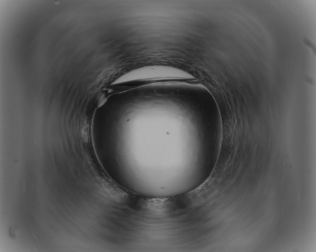 X0000091310090200708241123