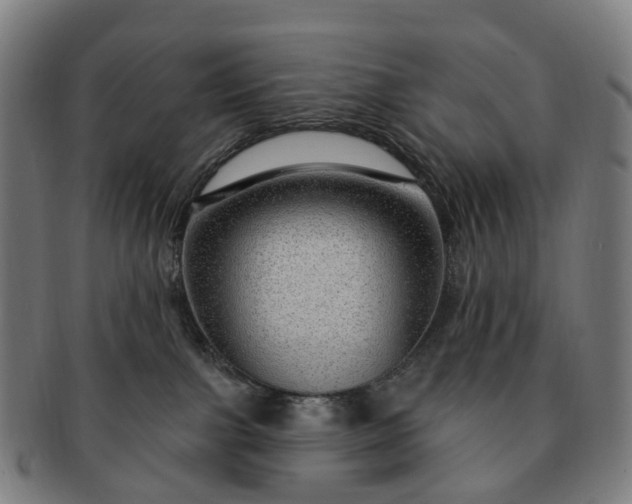 X0000091310091200708241123