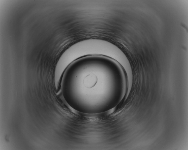 X0000091310092200708241123