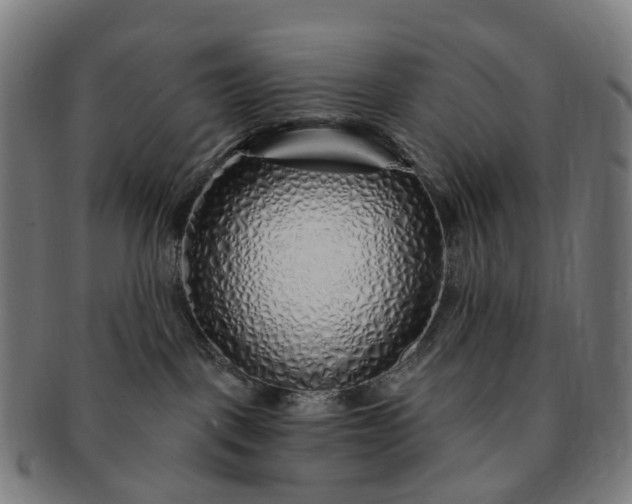 X0000091310093200708241123