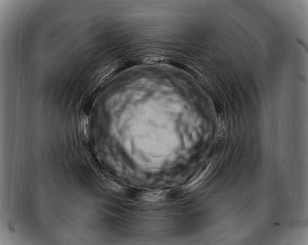 X0000091310094200708241123