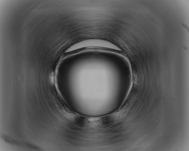 X0000091310095200708241123