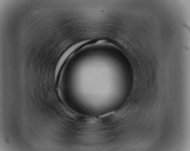 X0000091310096200708241123