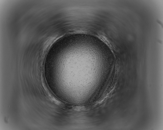 X0000091310097200708241123