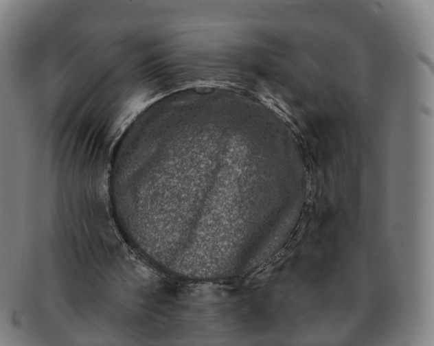 X0000091310098200708241123