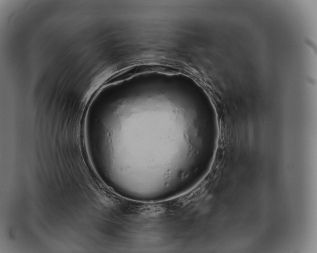 X0000091310099200708241123