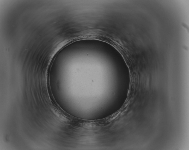 X0000091310100200708241123