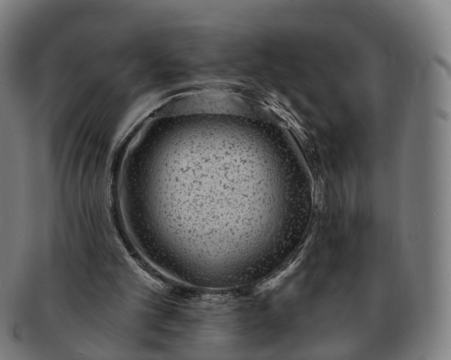 X0000091310101200708241123