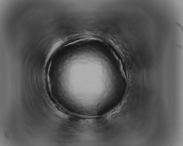 X0000091310102200708241122