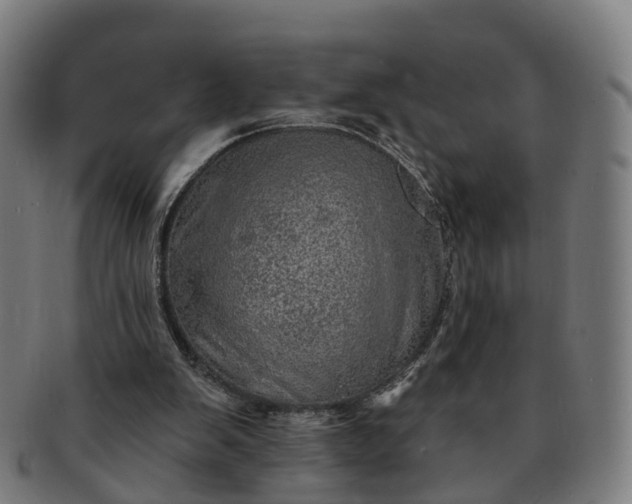 X0000091310103200708241122