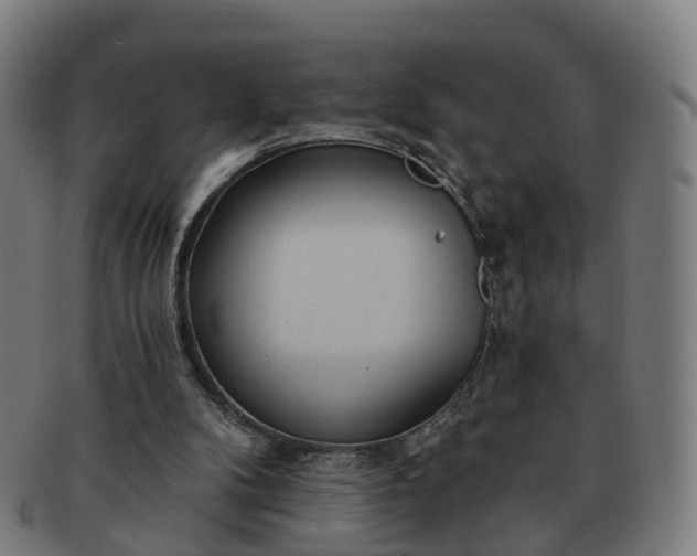 X0000091310104200708241122