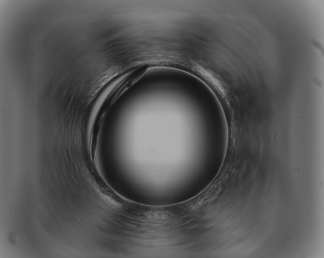 X0000091310105200708241122