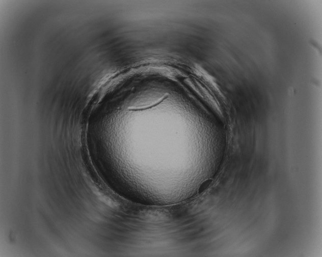 X0000091310106200708241122