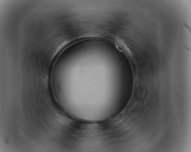 X0000091310108200708241122