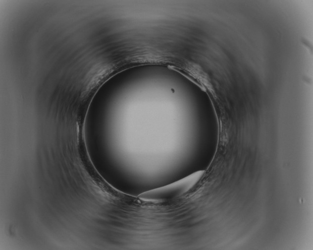 X0000091310109200708241122