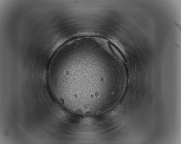 X0000091310111200708241122