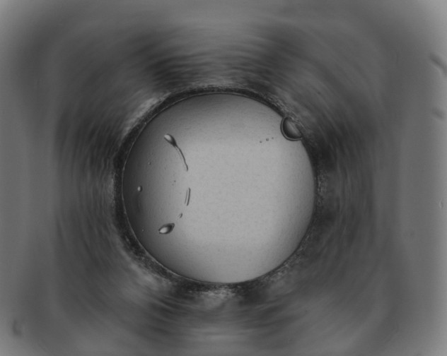 X0000091310112200708241122