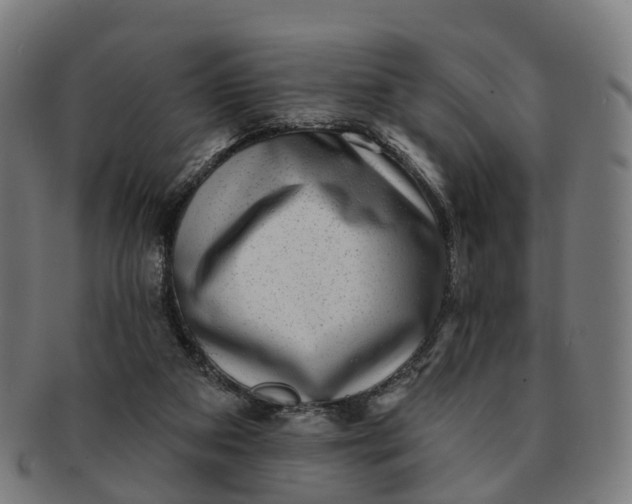 X0000091310113200708241122