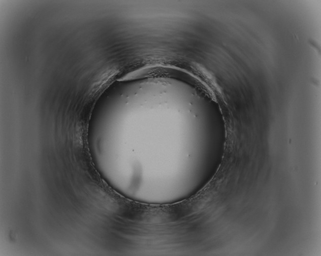 X0000091310114200708241122