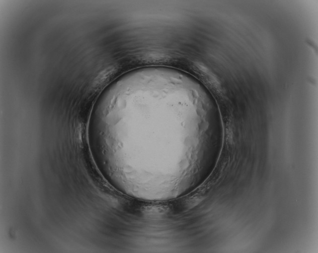 X0000091310115200708241122