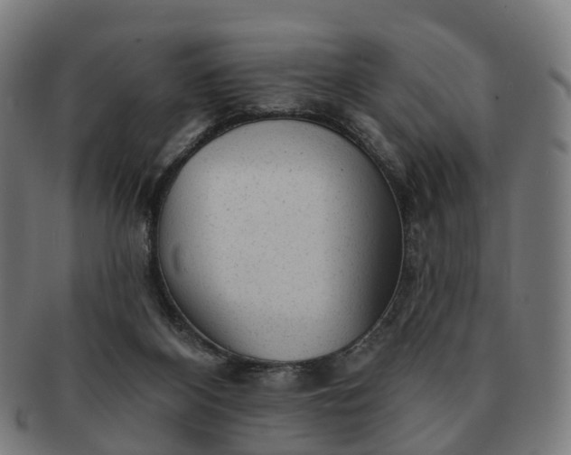 X0000091310116200708241122